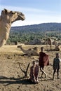 Village life Maasai children, introduction dromedary