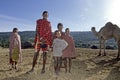 Village life Maasai, introduction of dromedary Royalty Free Stock Photo