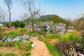 Village in Longjing Hangzhou Royalty Free Stock Photo