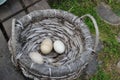 Village market fresh eggs Royalty Free Stock Photo