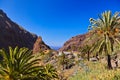 Village Masca at Tenerife island - Canary