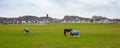 Village meadow in Wijk aan Zee, Netherlands