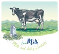 Milk label with cow Royalty Free Stock Photo