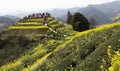 Tourists terraces in the shape of the pyramid