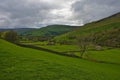 The landscape near Muker in Upper Swaledale with its numerous barns scattered around, Yorkshire Dales, North Yorkshire, England UK Royalty Free Stock Photo