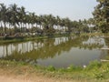 Village  nature with pond and jungles Royalty Free Stock Photo