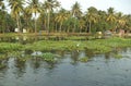 Village near backwaters, Kumarakom, Kerala, India Royalty Free Stock Photo