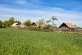 The village next to the wheat field Royalty Free Stock Photo