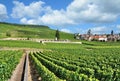 Village of Oger,Champagne region,Epernay,France Royalty Free Stock Photo