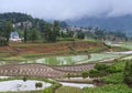 Village over terraced rice fields in Yunnan, China Royalty Free Stock Photo