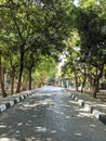 The village or palace roads are very neat and beautifully arranged because they are covered with trees