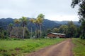 Village in Papua New Guinea Royalty Free Stock Photo