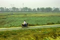 A village people with his By Cycles riding his bike on a village road amidst green field. Bardhaman West Bengal India South Asia