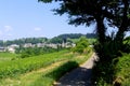 The village of Pernand Vergelesses in Burgundy Royalty Free Stock Photo