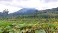 A village in a picturesque mountain valley. Valley village panorama. Village in valley panoramic landscape. Green valley panorama