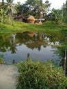 Village pond beautiful natural scenes Royalty Free Stock Photo