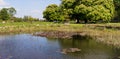 Village pond in Frampton on Severn, Gloucestershire