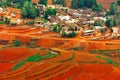 Village on red field