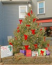 Red Hook New York Christmas tree with presents and tree decorations