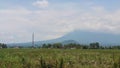 a village with rice fields that have been harvested before the rainy season