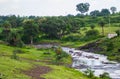 Village River and Palm Trees