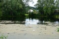 Village by the river. Trees and bushes bent their branches over the water. Green grass. Water surface Royalty Free Stock Photo