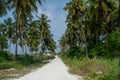 Village road near the palm trees at the tropical island
