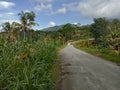 A village road near the slopes of Mount Muria Royalty Free Stock Photo