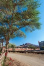 Village road, Norh Africa, near Toubkal, Atlas mountains