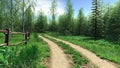 Village road passes forest in summer time