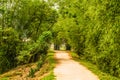 Village road in rural Vietnam Royalty Free Stock Photo