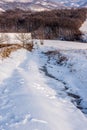 Village road in winter