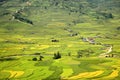 Traditional rice terrace fields in Mu Cang Chai to SAPA region Vietnam Royalty Free Stock Photo