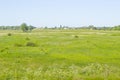 Village rural landscape with green field and country houses, summer meadow, grass on a pasture, field, nature background Royalty Free Stock Photo