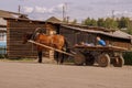 A village in Russia in the summer, children on a cart, horses. The village of Ust-Tsilma, the original authentic life of the villa