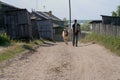 A village in Russia in the summer, a narrow street lane is a man and a cow. The village of Ust-Tsilma, the original authentic life