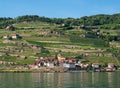 Village of Saint Saphorin - Lavaux