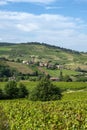 Village of Saint-VÃÂ©rand in the Beaujolais vineyard in the SaÃÂ´ne-et-Loire department in summer Royalty Free Stock Photo