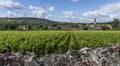 Santenay Church, Wall and Vineyard, France Royalty Free Stock Photo