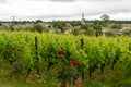 Village of Sauternes and vineyards