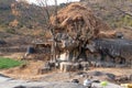 The village site in Mount Abu