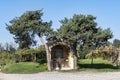 Village small building between two symmetrical trees with a background of vineyard.