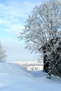 The village in snow. Winter2