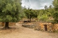 Village and stone buildings at Tuvarelli in Corsica