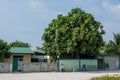 Village street with local buildings,road, bikes and tree during sunny day located at the tropical island Maamigili