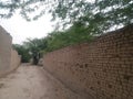 Village street Tajori lakki marwat