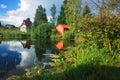 Village summer lake with cloud reflections background