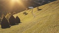 Village at sun mountain hill aerial. Farm animals at autumn nature landscape. Rural way at cottage Royalty Free Stock Photo