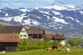 Village in the swiss alps with a little farm Royalty Free Stock Photo