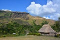 Village thatched house